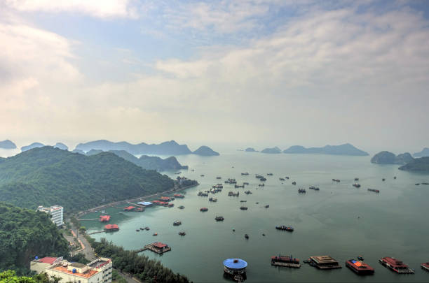 istock Cat Ba Island, Vietnam 1151801158