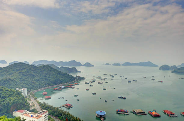 istock Cat Ba Island, Vietnam 1151801159