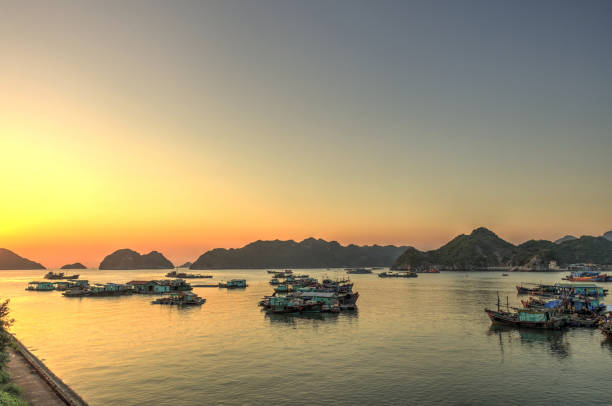 istock Cat Ba Island, Vietnam 1151801237
