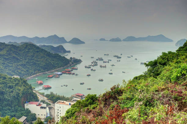 istock Cat Ba Island, Vietnam 1151801304