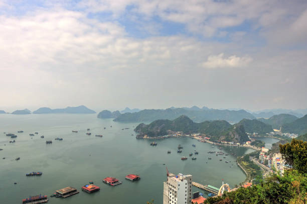istock Cat Ba Island, Vietnam 1151801651