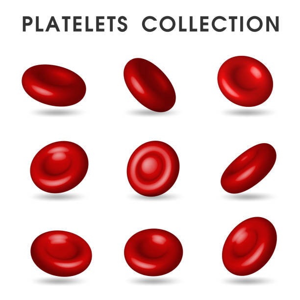 ilustraciones, imágenes clip art, dibujos animados e iconos de stock de gráficos plaquetarios realistas que circula en los vasos sanguíneos en el cuerpo humano - healthcare and medicine multi colored cell backgrounds