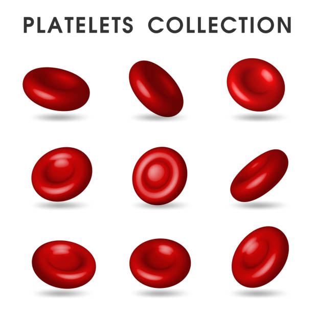 ilustrações de stock, clip art, desenhos animados e ícones de realistic platelet graphics that circulates in the blood vessels in the human body - blood cell anemia cell structure red blood cell