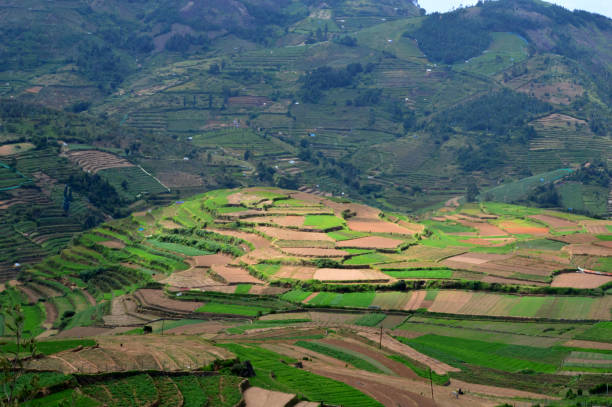 istock Sightseeing in Kodaikanal 1151805017