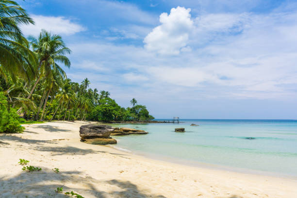 istock Relaxtion scene of peaceful beach with coconut palm tree blue sky 1151805416