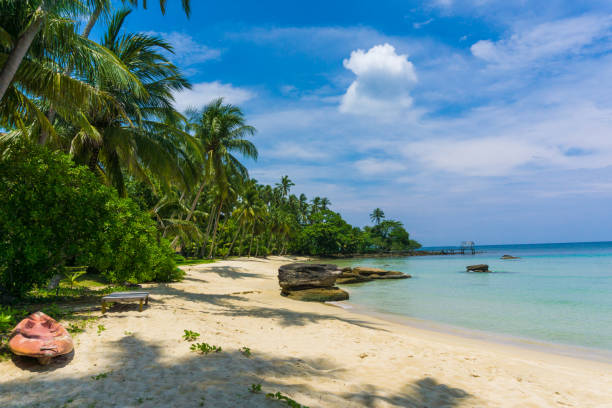 istock Relaxtion scene of peaceful beach with coconut palm tree blue sky 1151806219