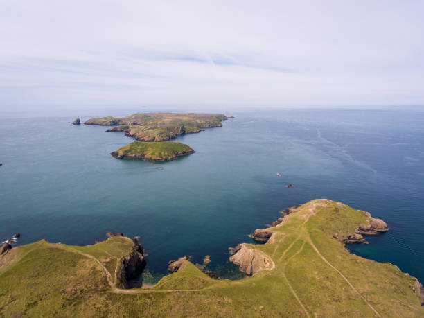 istock Skomer Island 1151809673