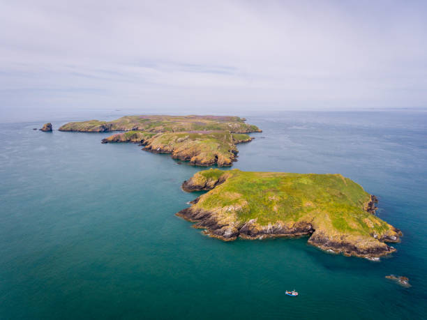 istock Skomer Island 1151809684