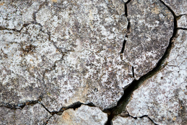 istock Grey textured old cracked concrete stone background 1151810212