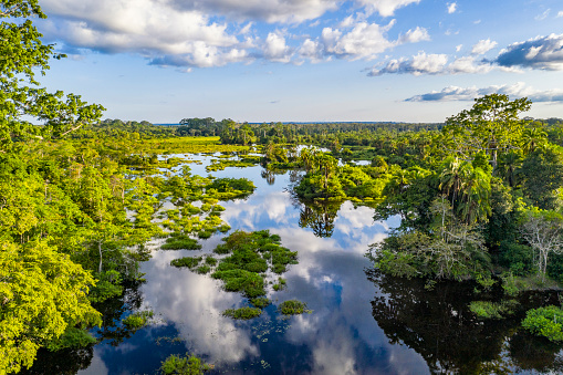 Vista aérea de un río en un claro de Bai en la selva, Congo photo