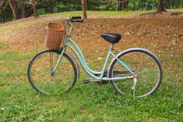 istock Beautiful vintage bicycle in park 1151810938