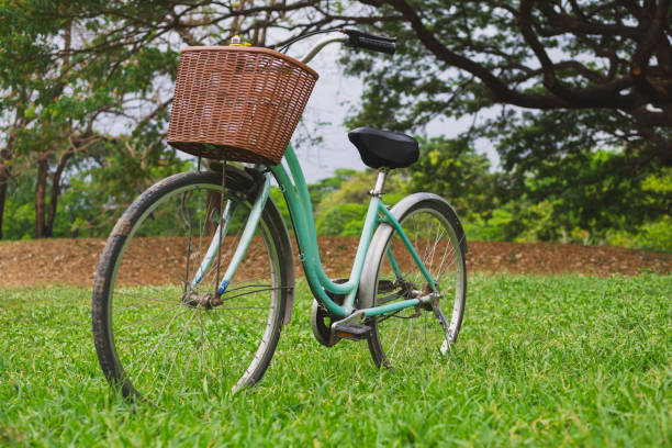 istock Beautiful vintage bicycle in park 1151811004