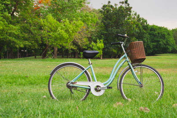 istock Beautiful vintage bicycle in park 1151811194