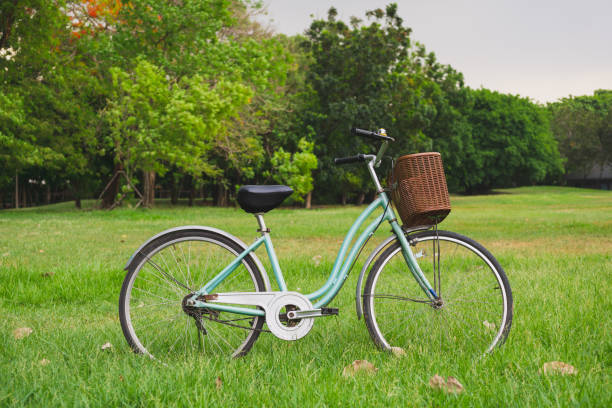 istock Beautiful vintage bicycle in park 1151811280