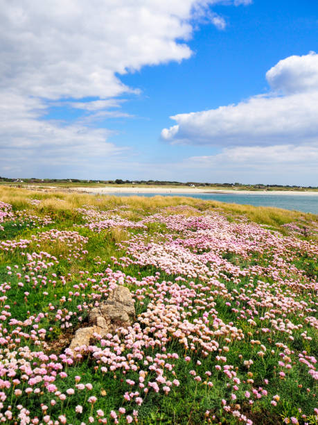 Pointe de la Torche in Brittany, Plomeur, France
