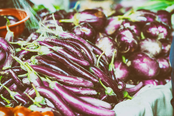 comida saudável. legumes frescos, beringelas regadas no mercado do agricultor - eggplant farmers market purple agricultural fair - fotografias e filmes do acervo