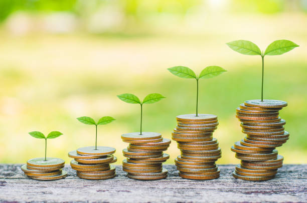 plante verte laisse de plus en plus sur l'empilement de pièces de monnaie économisant le financement des entreprises succès budget d'investissement de richesse concept. empiler la pièce de monnaie sur la table en bois avec le fond flou vert. - wondered photos et images de collection