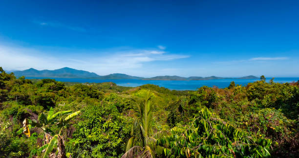 istock A panoramic view over the hills and jungle in Palawan, Philippines 1151817713