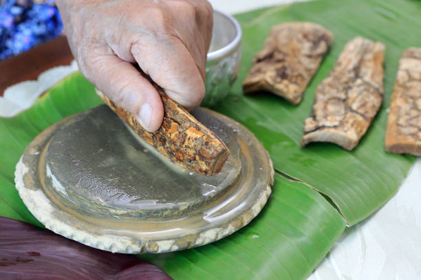 istock Thanaka herb bark scrubbing on kyauk pyin stone slab . thanaka is a popular cosmetic paste made from ground bark in Myanmar 1151817714