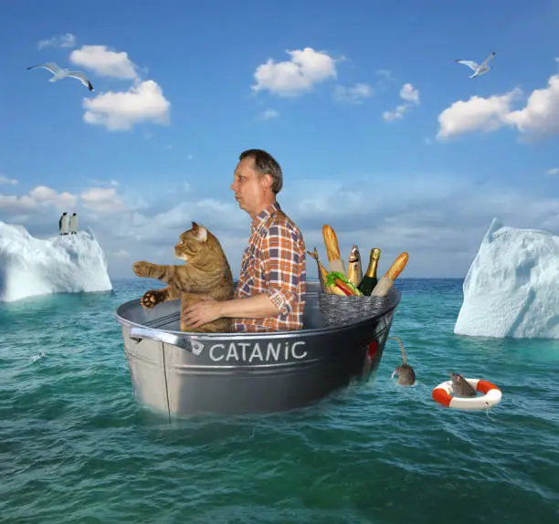 The man and his cat are drifting in the steel wash tub after the shipwreck among the icebergs in the high seas. Their lifeboat is called Catanic.