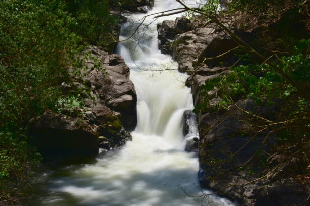 istock Kumily Waterfalls in Tamilnadu 1151819169