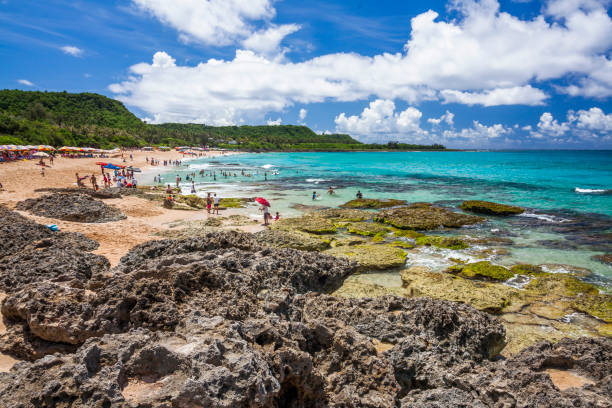 Coastal reef and wave in the Sand on Beach at south taiwan