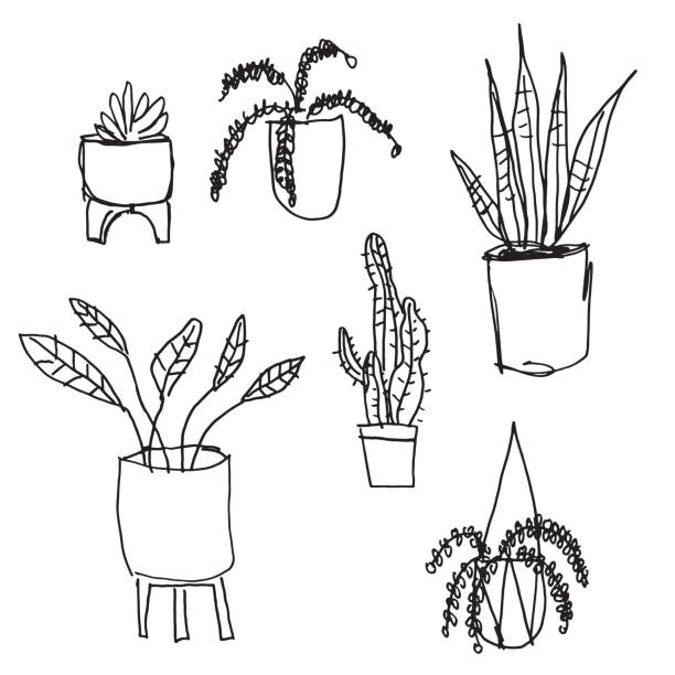 House Plants Black and White vector art illustration