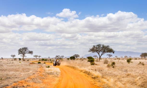 Amazing savannah plains landscape and safari road in Kenya
