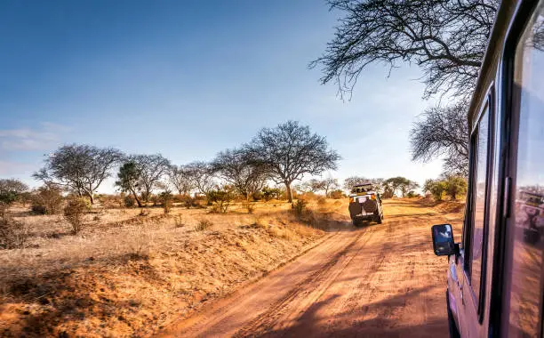 Amazing savannah plains landscape and safari road in Kenya