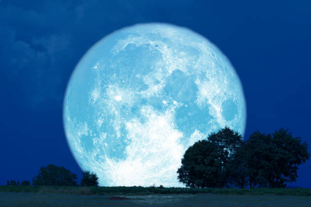 istock Full Buck Moon back silhouette trees in the field 1151824952
