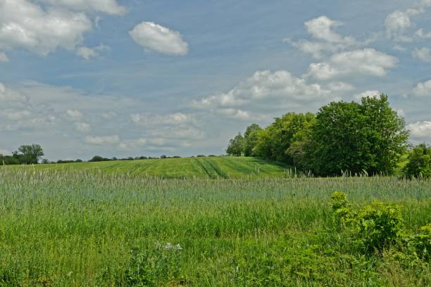 istock Landscape near Erfurt in spring 1151825256