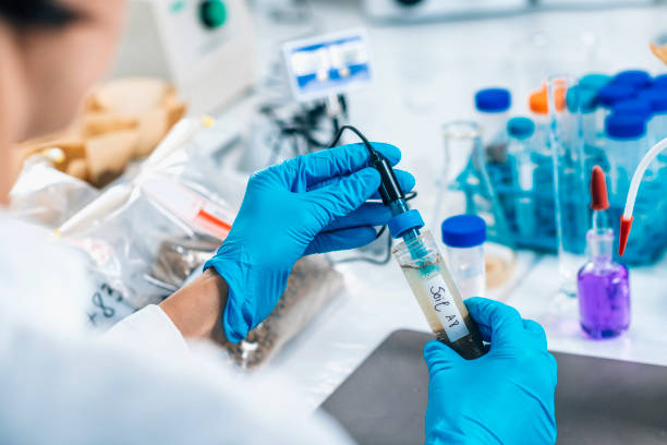 istock Soil Laboratory Analysis. Scientist Measuring PH Of Soil Sample 1151830634