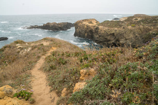 istock Ocean bay landscape with cliffs and islands 1151834862