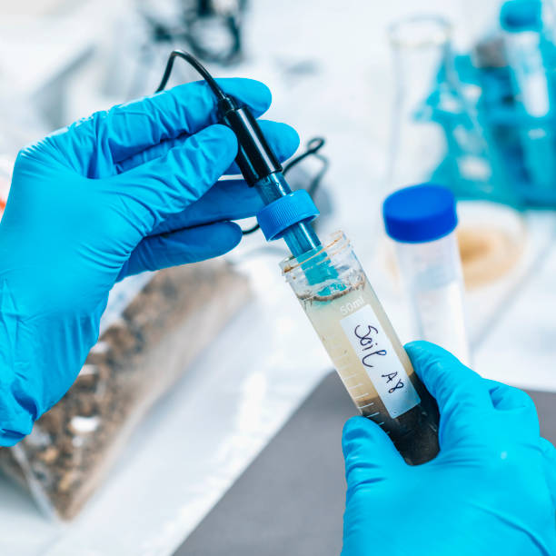 istock Soil Laboratory Analysis. Scientist Measuring PH Of Soil Sample 1151837265