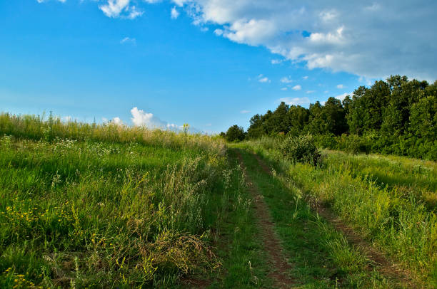 istock Country road leads behind the horizont 1151837615
