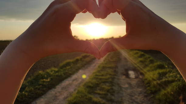 lovely sundowner - neunzig imagens e fotografias de stock