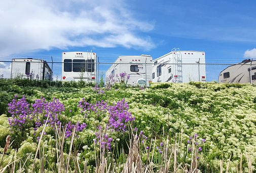 Vernon, British Columbia, Canada- May 24,2019: Row of different size and styles of motor homes. Behind fence with wild flowers in foreground.