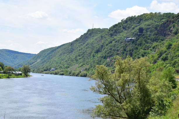 istock mosel valley road at terraced vineyards 1151841219