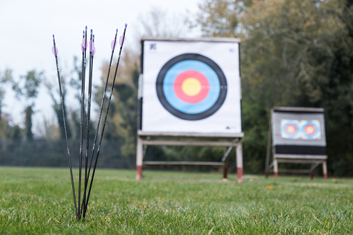 Portrait of outdoor archery targets on grass field surrounded by forest.