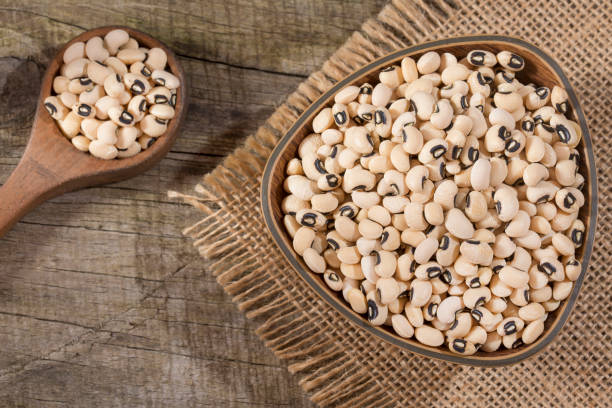 istock Black eye bean - Vigna unguiculata 1151841362