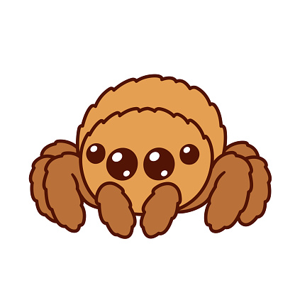 Cute Cartoon Spider Stock Illustration - Download Image Now - Jumping Spider,  Spider, Cute - iStock