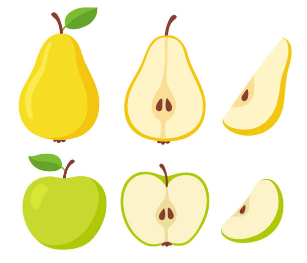 Pear and apple fruit set Green apple and yellow pear set. Whole and cut fruit, cross section and slice. Simple cartoon isolated vector illustration. pear stock illustrations