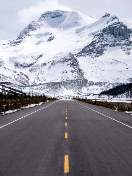 istock Looking at a Mountain Down the Road 1151845578