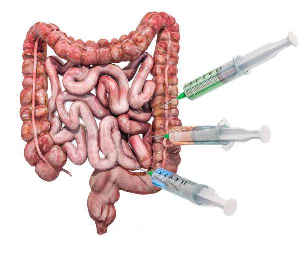 istock Treatment and medicines for disease bowel, 3D rendering isolated on white background 1151858722