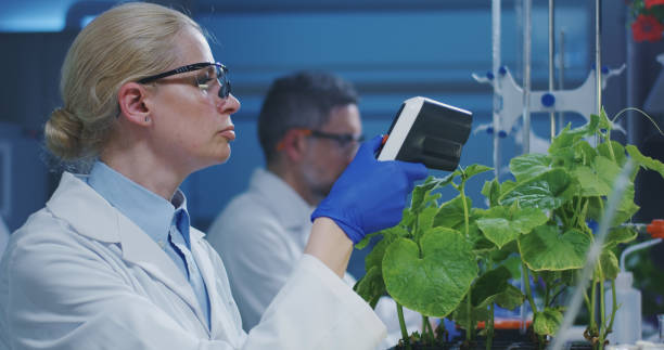 istock Scientist experimenting with a green plant 1151860625
