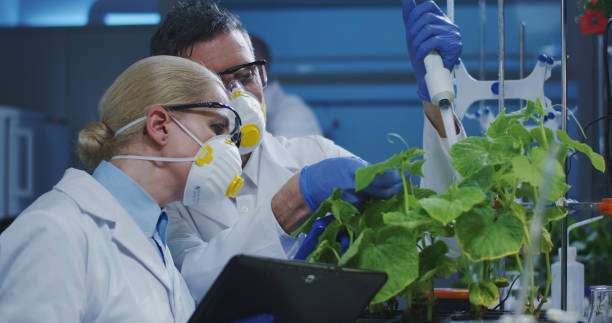 istock Scientists examining a green plant 1151861819
