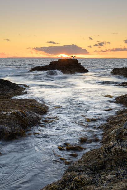 istock Coastal Sunset Laguna Beach 1151869797