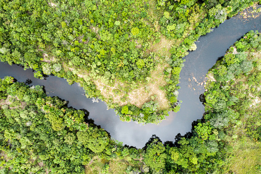 High angle view of the landscape of Cerrado in Tocantins, Brazil