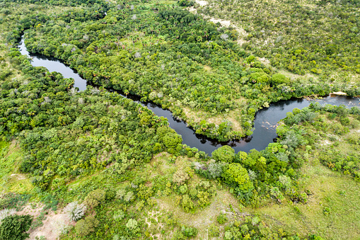 High angle view of the landscape of Cerrado in Tocantins, Brazil