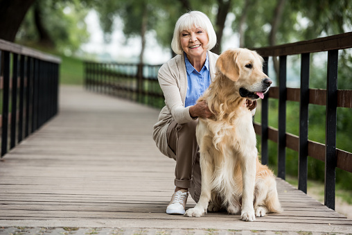 happy senior woman with golden retriever dog on wooden bridge